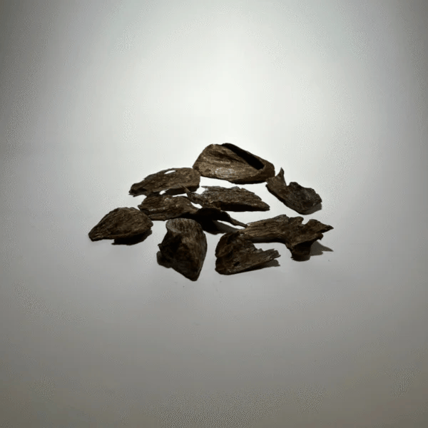 نفايح العود المنقرض