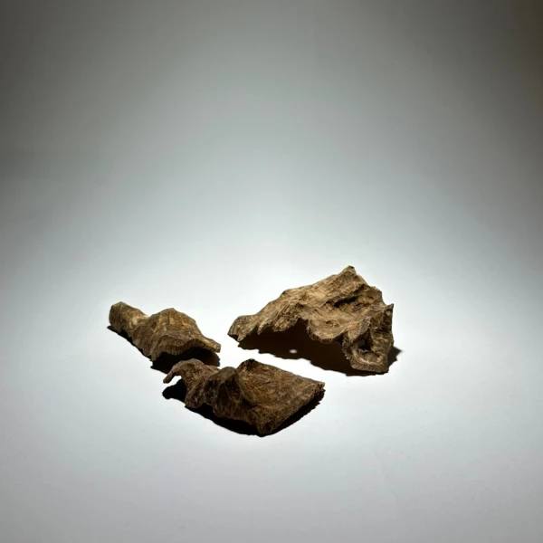 (تولة - 12 جم) تشار فيتنام البخوري CVAD91 سوبر مرتفع